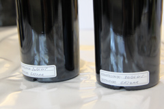 D&eacute;gustation des Bordeaux primeurs 2014 - 