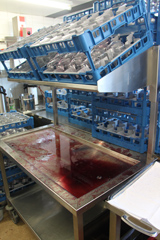 D&eacute;gustation des Bordeaux primeurs 2014 - Where is the body ???
