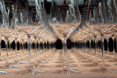 D&eacute;gustation des Bordeaux primeurs 2015 - Les Gabriel-Glas de d&eacute;gustation attendent les d&eacute;gustateurs
