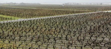 chateau latour chateau latour