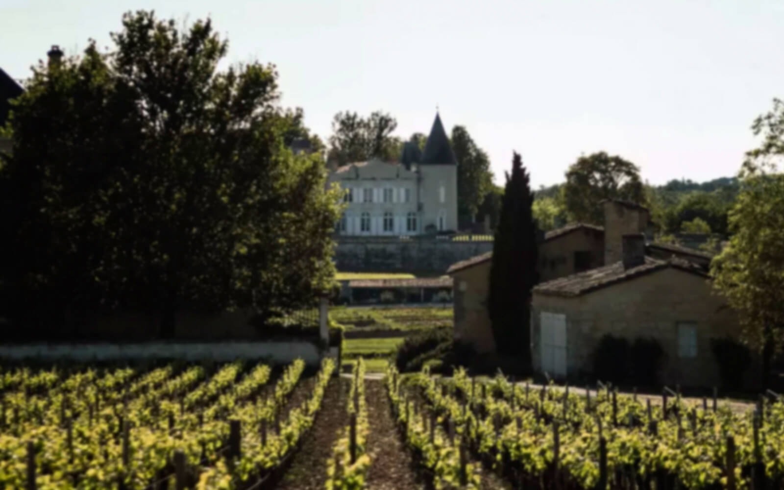 degustation bordeaux primeurs