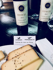 sassicaia