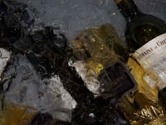 Degustation 04 2010